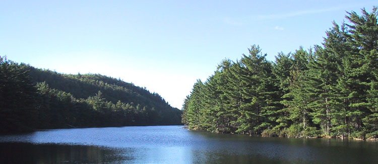p01lakepan.JPG (61776 bytes)