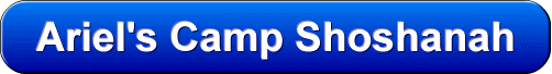 title500.gif (19529 bytes)